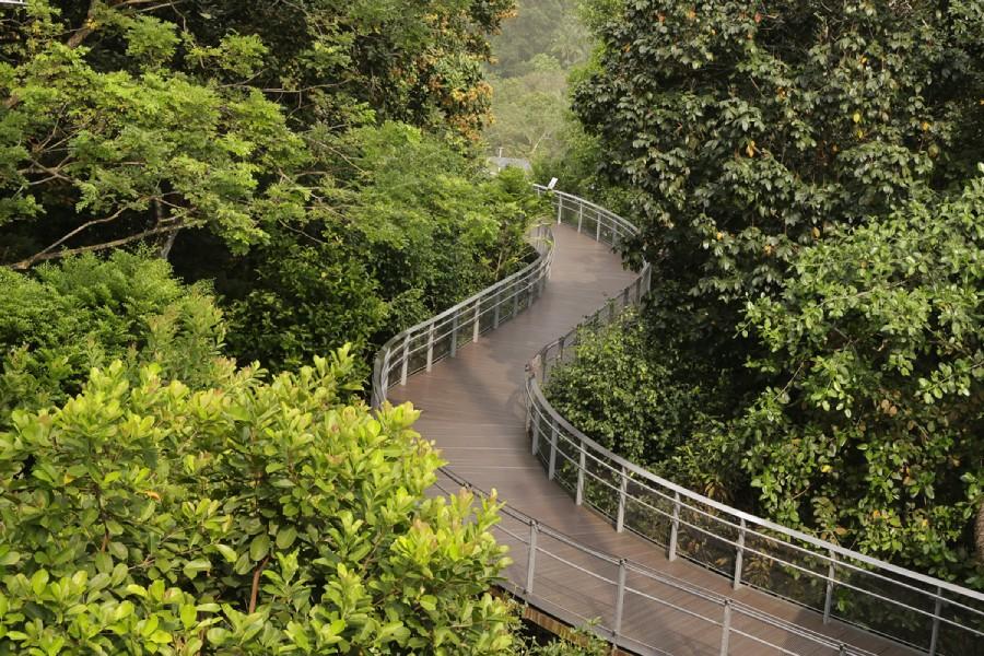 Walk on the wild side at Mandai Wildlife Reserve